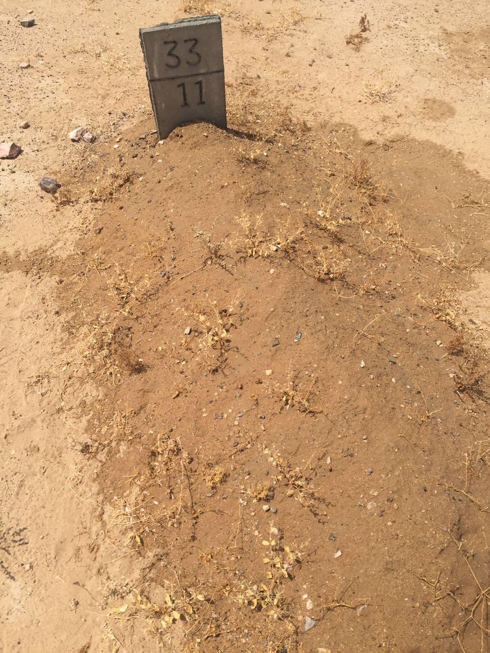 WhatsApp Image 2017-08-12 at 8.11.29 PM.jpeg