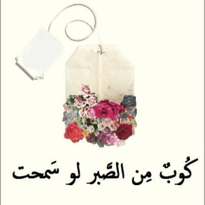 tumblr_mx73acCv9h1s50pdro1_1280