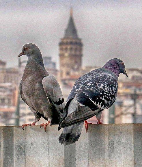 photo_2018-02-19_05-34-52