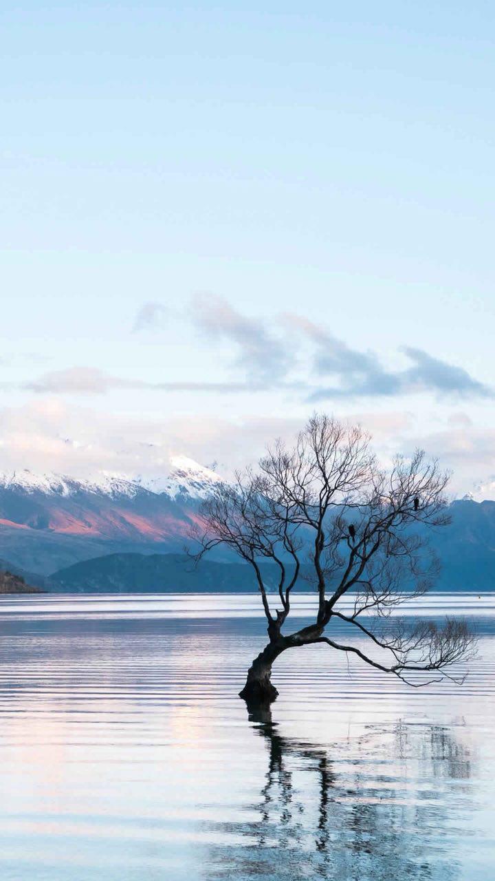 photo_2018-03-09_09-18-26