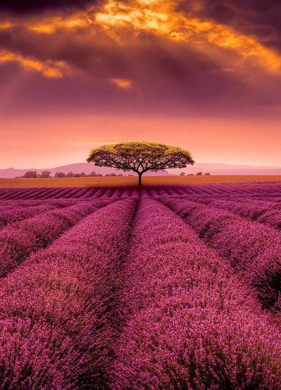 c64d447c720d08378a4cf66720d6e970