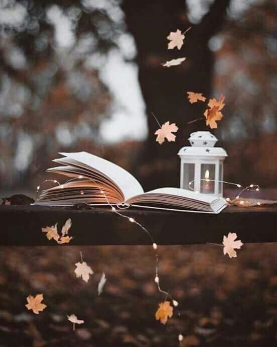 WhatsApp Image 2018-08-12 at 9.29.33 PM